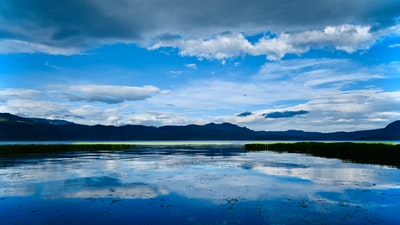 图聚科技